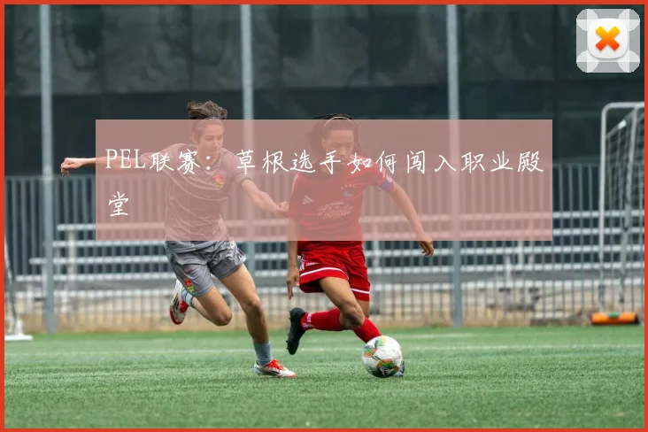 PEL联赛:草根选手如何闯入职业殿堂