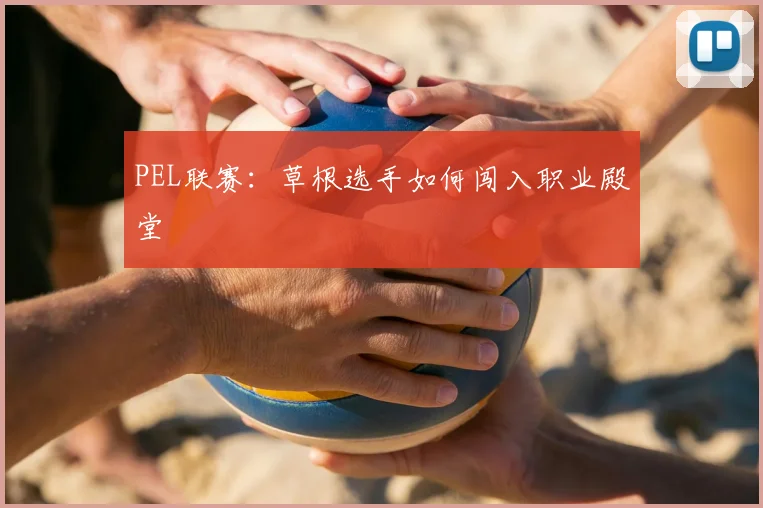PEL联赛:草根选手如何闯入职业殿堂